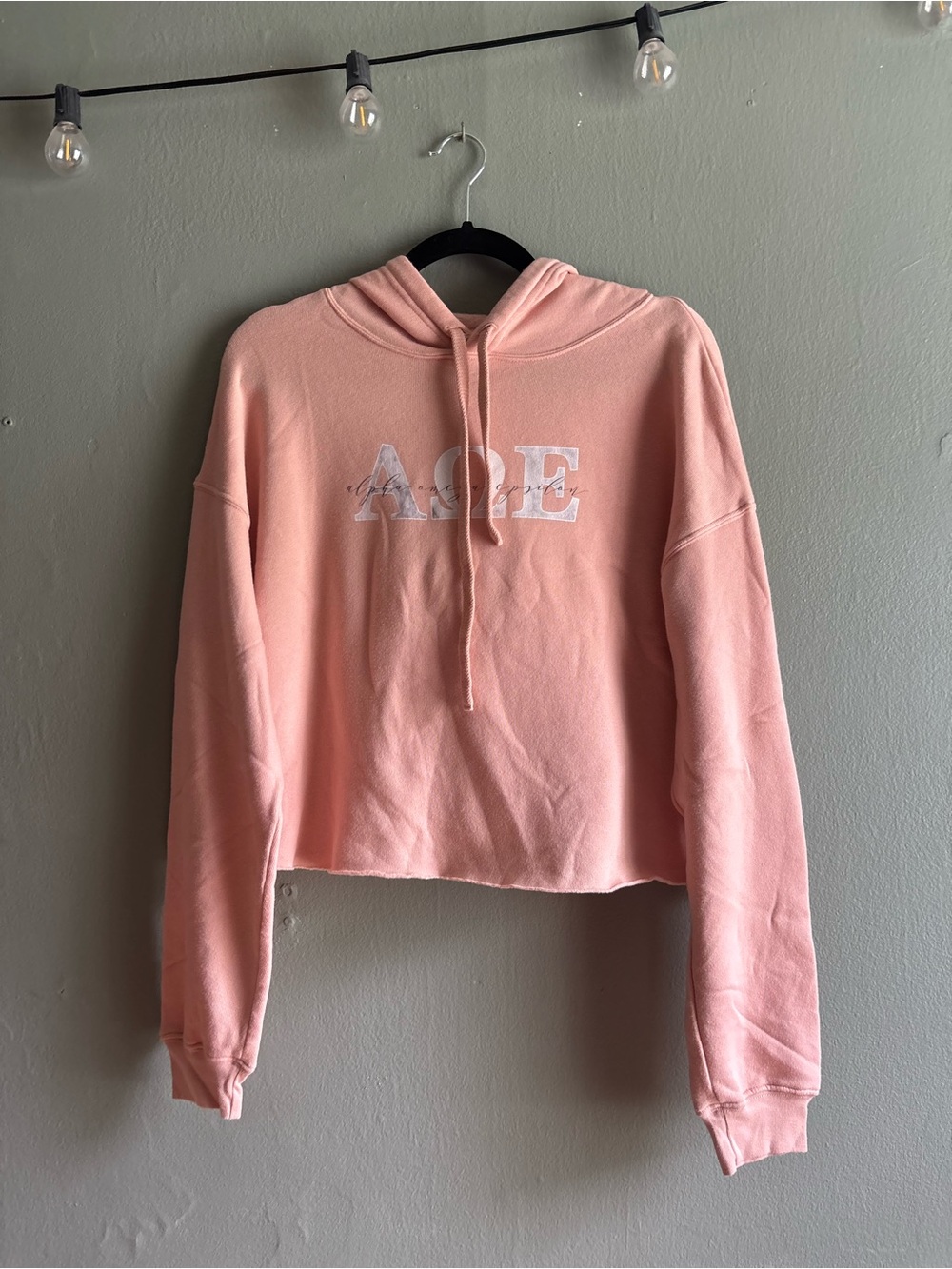 Alpha Omega Epsilon (AOE) Pink Cropped Hoodie Size: M | Etsy